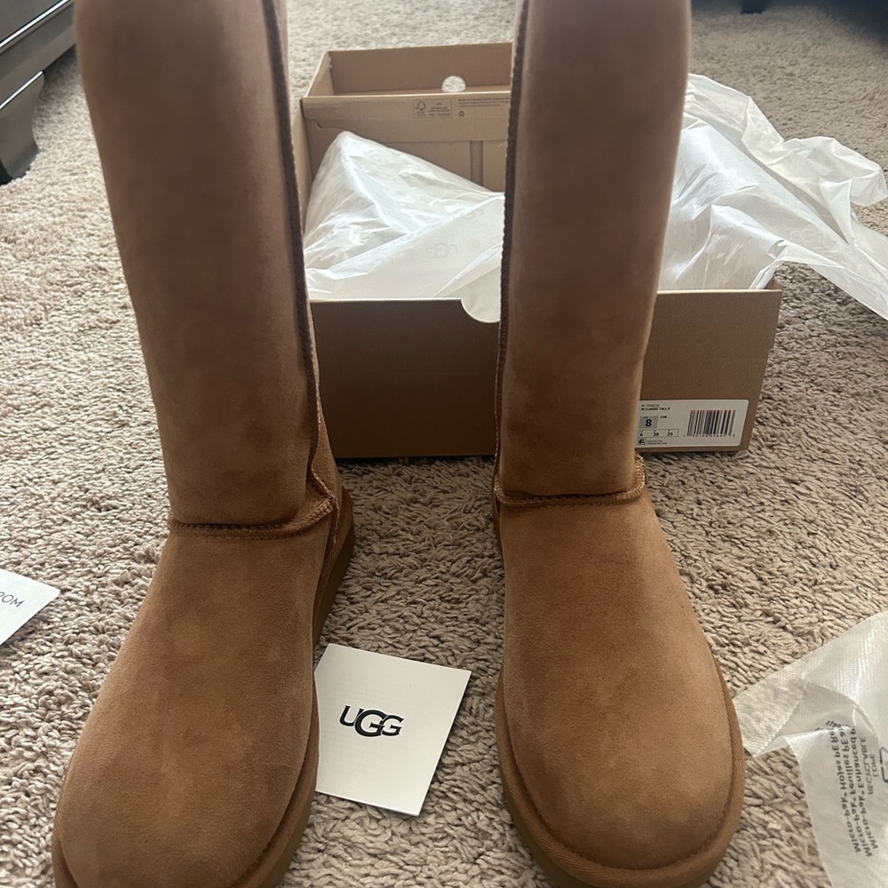 Brand New Size 8 Women UGG Brown